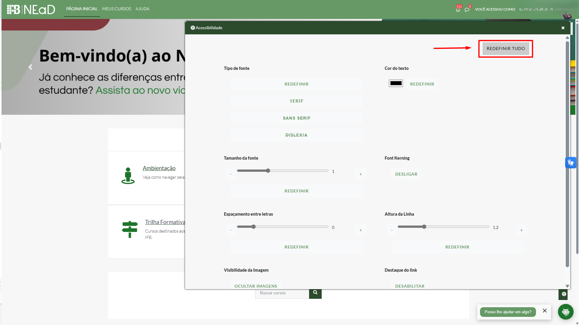 Recurso de acessibilidade aberto, com destaque para o botão "redefinir tudo".